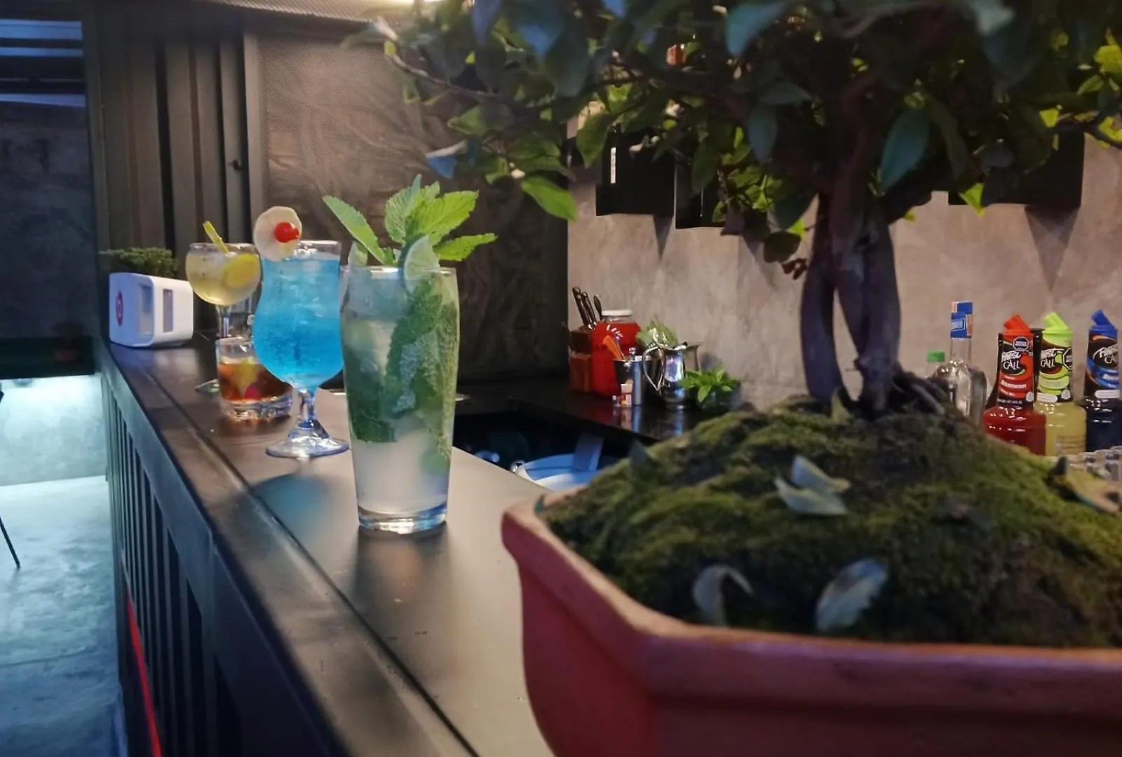 Hostel Joy Calle 85 Μπογκοτά Ξενοδοχείο